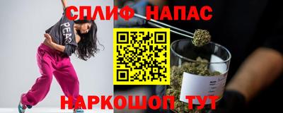 мяу мяу мука Ставрополь