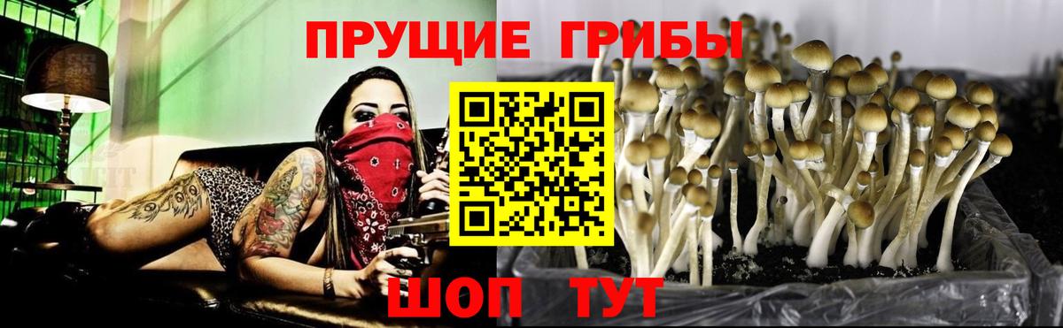 Наро-Фоминск  Псилоцибиновые грибы Magic Shrooms  Вход с VPN 
